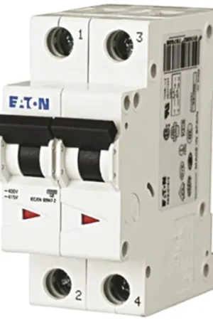 Venta Final Interruptor automático 2P, 6A, Curva Tipo D, Poder de corte 6 kA, xEffect, Montaje en Carril DIN