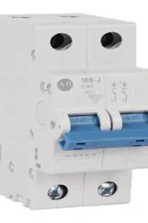Interruptor automático 2P, 4A, Curva Tipo D, Montaje en Carril DIN Devolución Gratuita